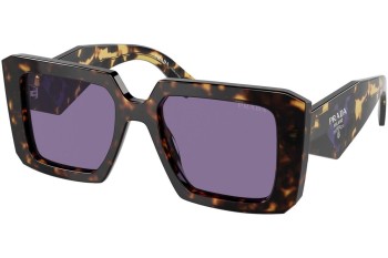 Sunglasses Prada PR23YS 2AU05Q Quadratisch Havanna