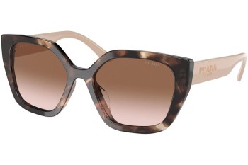 Sunglasses Prada PR24XS 07R0A6 Cat Eye Havanna