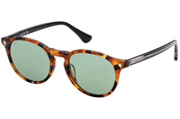 Sunglasses Web WE0328 56N Rund Havanna