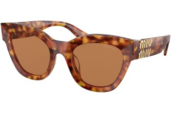 Sunglasses Miu Miu MU01YS 4BW2Z1 Cat Eye Havanna