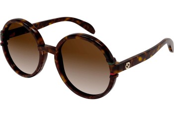 Sunglasses Gucci GG1067S 002 Rund Havanna