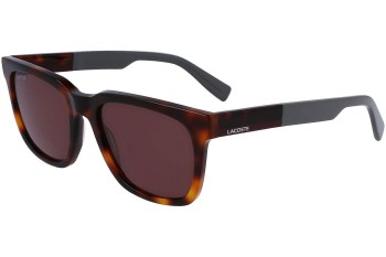 Sunglasses Lacoste L996S 214 Quadratisch Havanna