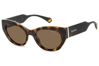 Sunglasses Polaroid PLD6199/S/X 086/SP Polarized Cat Eye Havanna