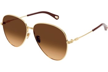 Sonnenbrille Chloe CH0177S 003 Pilot Gold