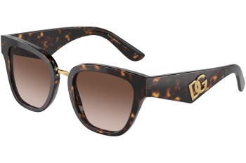 Sonnenbrille Dolce & Gabbana DG4437 502/13 Cat Eye Havanna