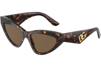 Sunglasses Dolce & Gabbana DG4439 502/73 Cat Eye Havanna