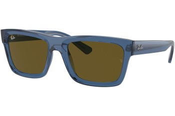 Sunglasses Ray-Ban Warren RB4396 668073 Rechteck Blau