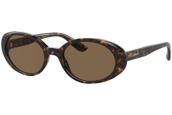 Sunglasses Dolce & Gabbana DG4443 502/73 Oval Havanna