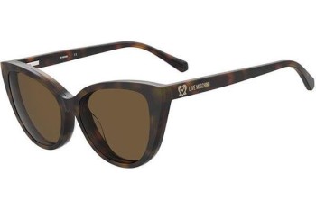 Glasses Love Moschino MOL066/CS 05L/70 Cat Eye Havanna