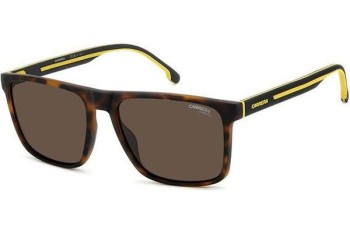 Sunglasses Carrera CARRERA8064/S N9P/70 Quadratisch Havanna