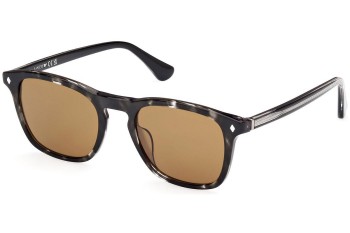 Sunglasses Web WE0365 05E Quadratisch Schwarz