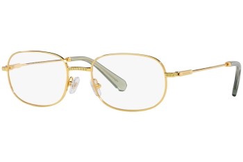 Glasses Swarovski SK1005 4004 Rechteck Gold