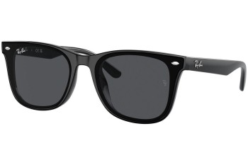 Sunglasses Ray-Ban RB4420 601/87 Quadratisch Schwarz