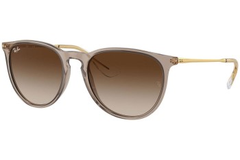 Sunglasses Ray-Ban Erika RB4171 674413 Rund Gold