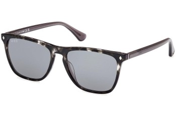 Sonnenbrille Web WE0363 20V Quadratisch Grau