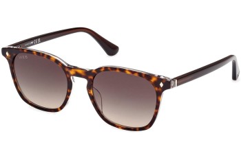 Sonnenbrille Web WE0364 56B Rund Havanna