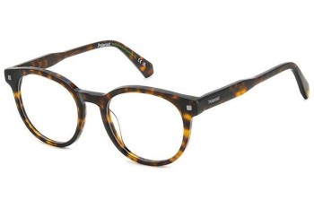 Glasses Polaroid PLDD519 086 Rund Havanna