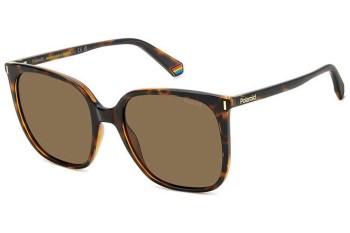 Sunglasses Polaroid PLD6218/S 086/SP Polarized Quadratisch Havanna