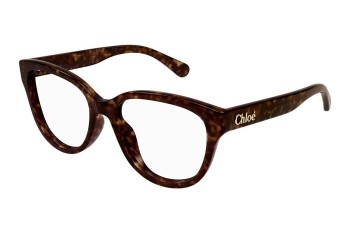 Glasses Chloe CH0243O 006 Rechteck Havanna