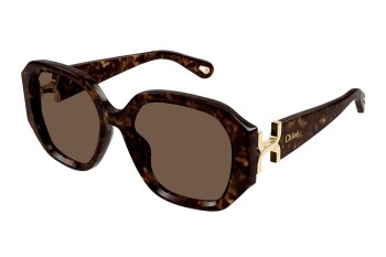 Sonnenbrille Chloe CH0236S 002 Quadratisch Havanna