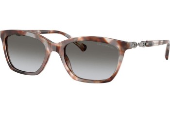 Sunglasses Emporio Armani EA4238 61953C Quadratisch Havanna