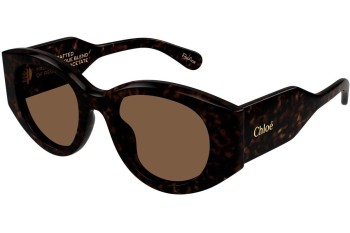 Sonnenbrille Chloe CH0251S 002 Rund Havanna