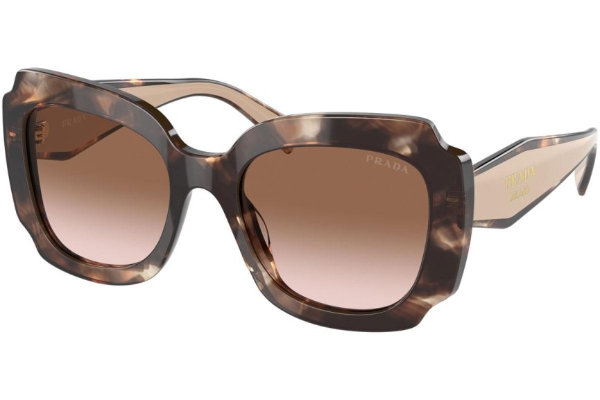 Sunglasses Prada PR16YS 01R0A6 Quadratisch Havanna