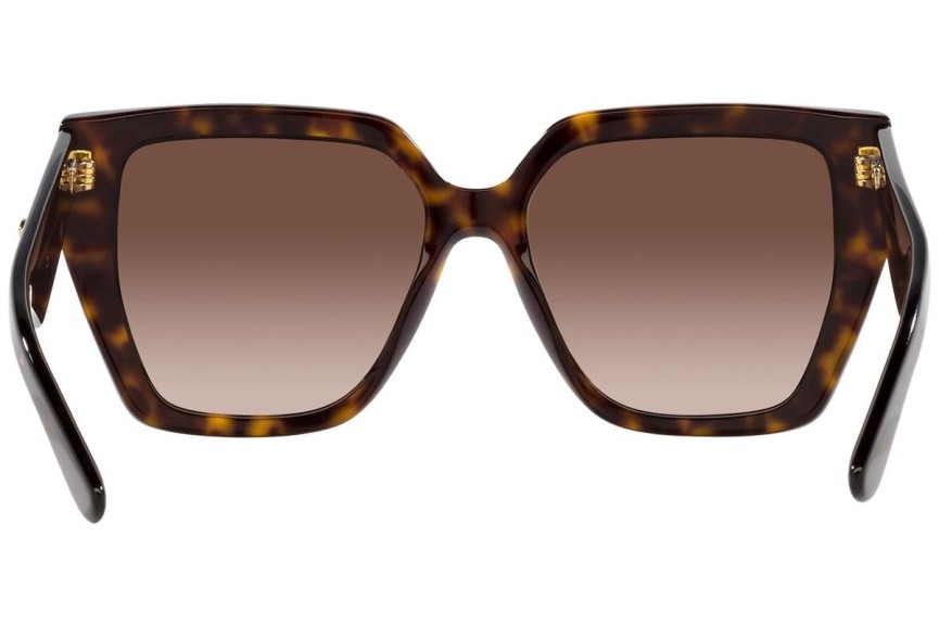 Sunglasses Dolce & Gabbana DG4438 502/13 Quadratisch Havanna