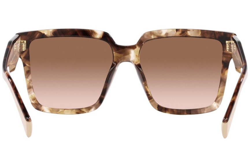 Sunglasses Prada PR24ZS 07R0A6 Quadratisch Havanna