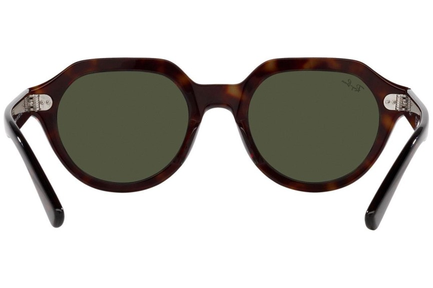 Sonnenbrille Ray-Ban Gina RB4399 902/31 Quadratisch Havanna