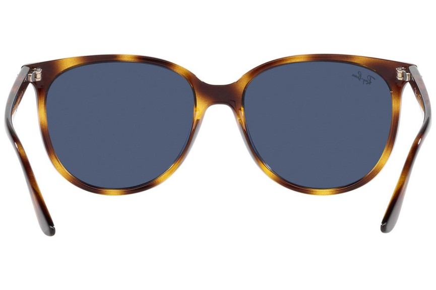 Sunglasses Ray-Ban RB4378 710/80 Quadratisch Havanna