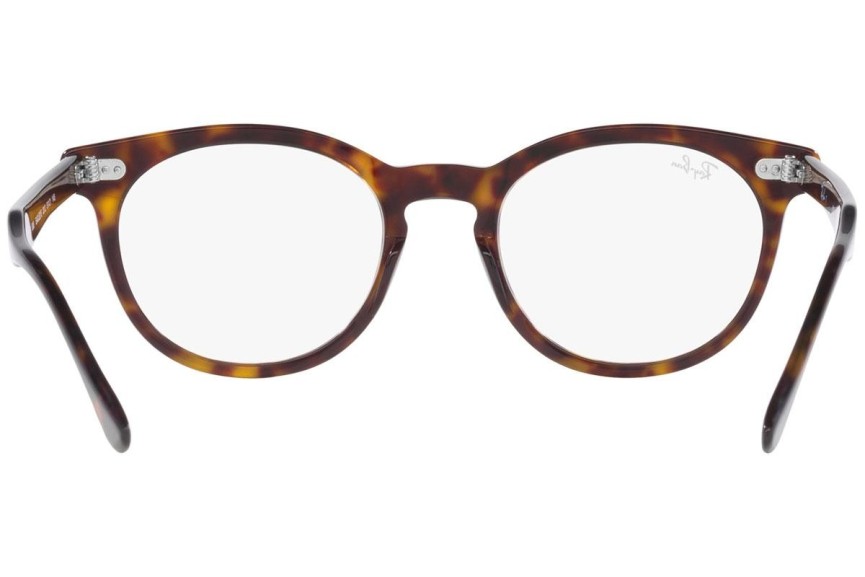 Glasses Ray-Ban Eagleeye RX5598 2012 Rund Havanna