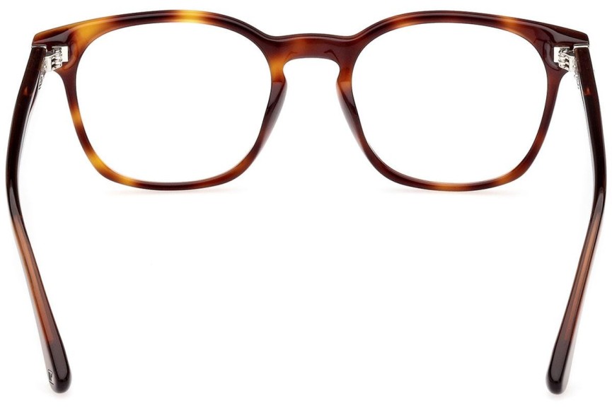 Glasses Web WE5410 052 Rund Havanna