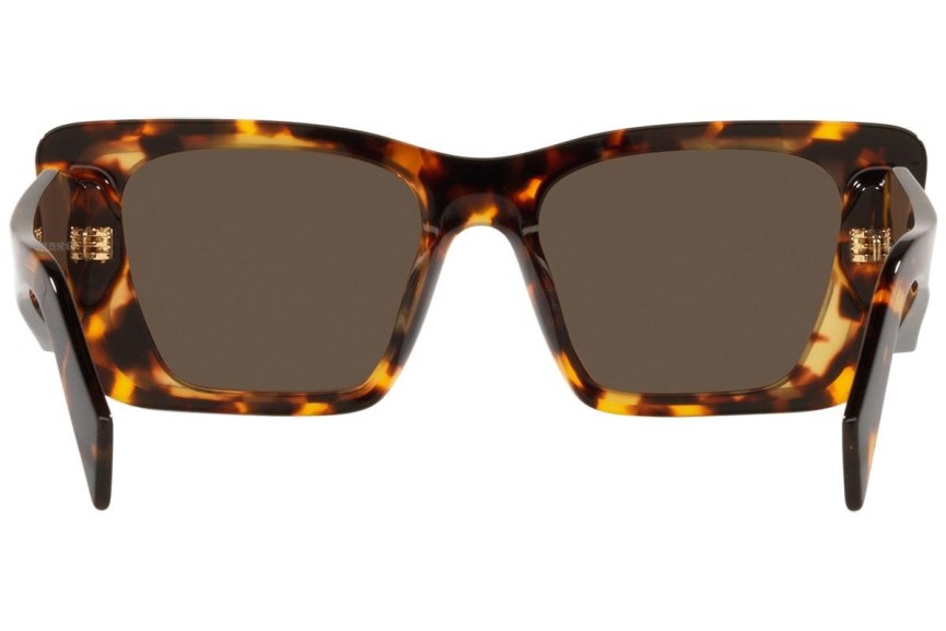 Sonnenbrille Prada PR08YS 01V8C1 Cat Eye Havanna