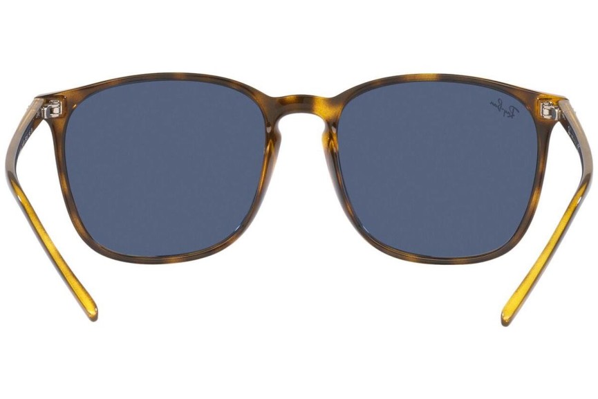 Sunglasses Ray-Ban RB4387 710/80 Quadratisch Havanna