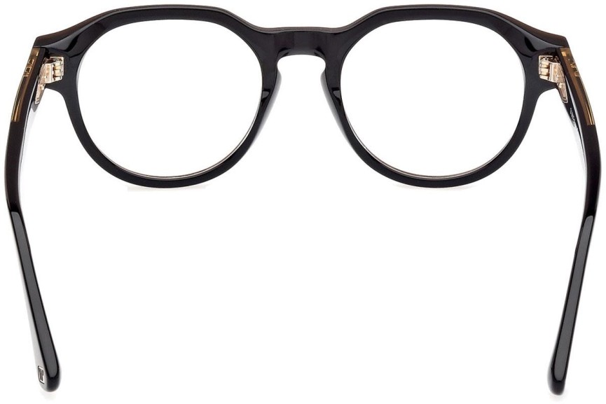 Glasses Web WE5421 050 Rund Braun