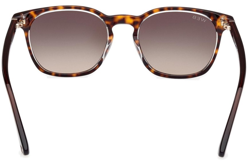 Sonnenbrille Web WE0364 56B Rund Havanna