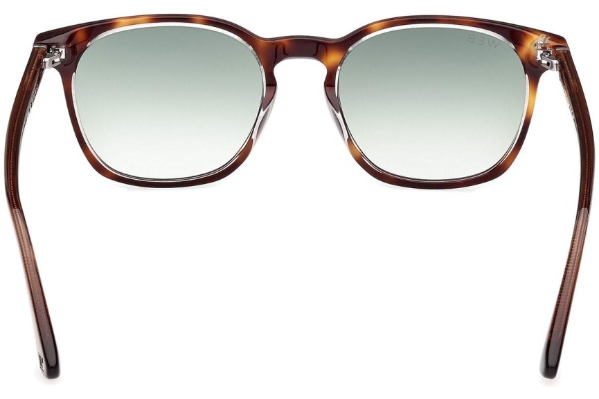 Sunglasses Web WE0364 56P Rund Havanna