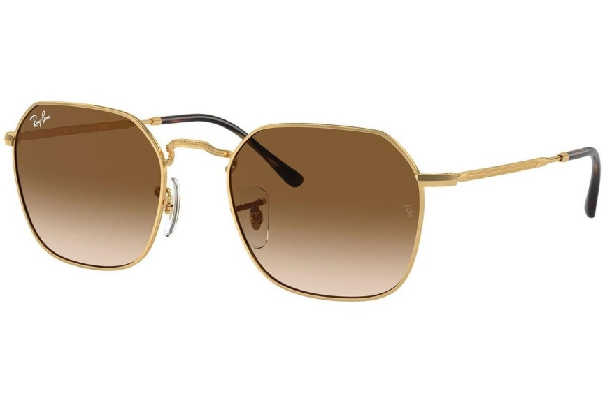 Sunglasses Ray-Ban Jim RB3694 001/51 Quadratisch Gold