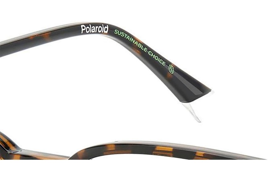 Glasses Polaroid PLDD523/G 086 Rechteck Havanna