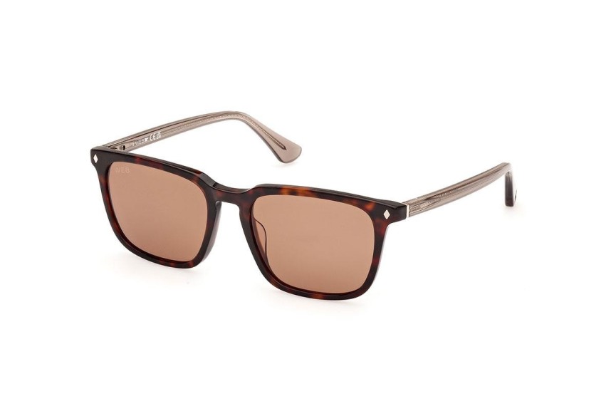 Sonnenbrille Web WE0369 56E Quadratisch Havanna