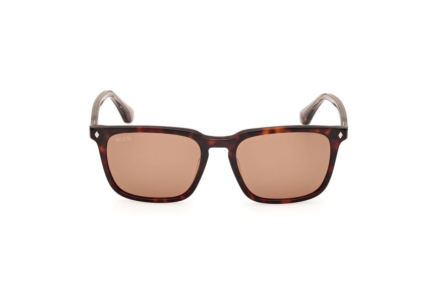 Sonnenbrille Web WE0369 56E Quadratisch Havanna