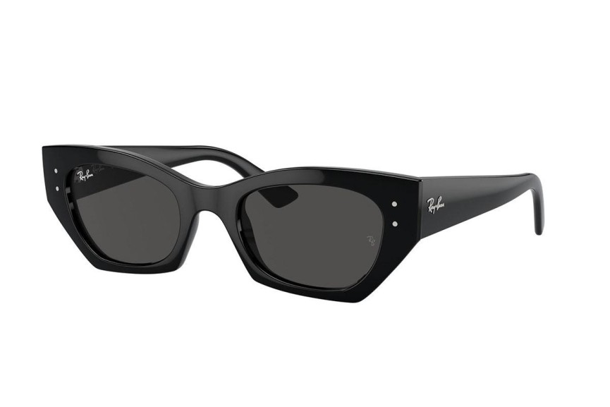 Sunglasses Ray-Ban RB4430 667787 Browline Schwarz