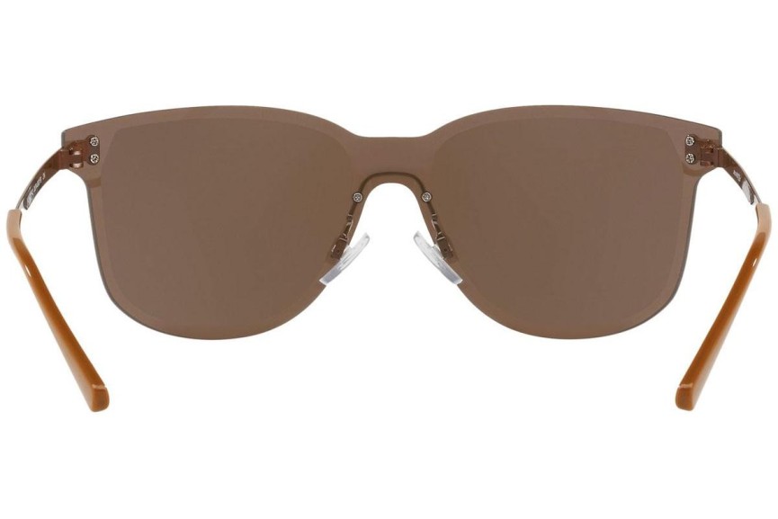 Sunglasses Arnette Hundo-P2 AN3074 693/F9 Quadratisch Braun