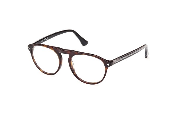 Glasses Web WE5429 055 Rund Havanna