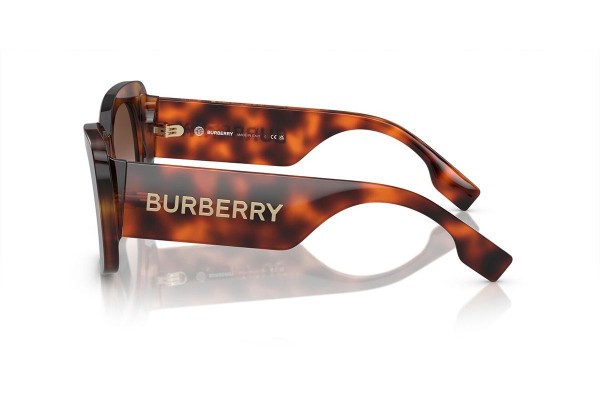 Sunglasses Burberry BE4410 331613 Quadratisch Havanna