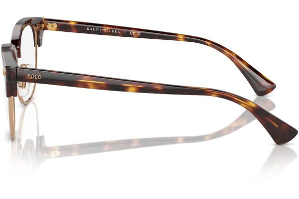 Glasses Polo Ralph Lauren PH2277 6137 Browline Havanna