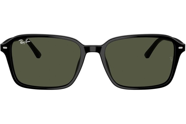 Sunglasses Ray-Ban RB2231 901/31 Quadratisch Schwarz