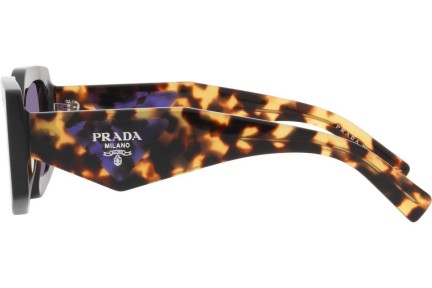 Sonnenbrille Prada PR15YS 2AU05Q Besondere Havanna