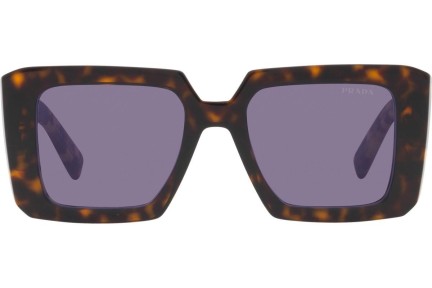 Sonnenbrille Prada PR23YS 2AU05Q Quadratisch Havanna